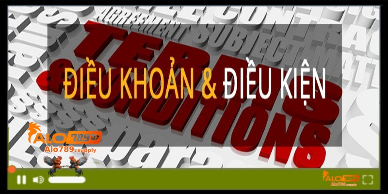 Điều khoản đăng ký và thông tin cung cấp