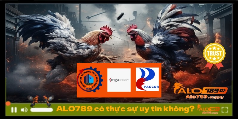 ALO789 có thực sự uy tín không?